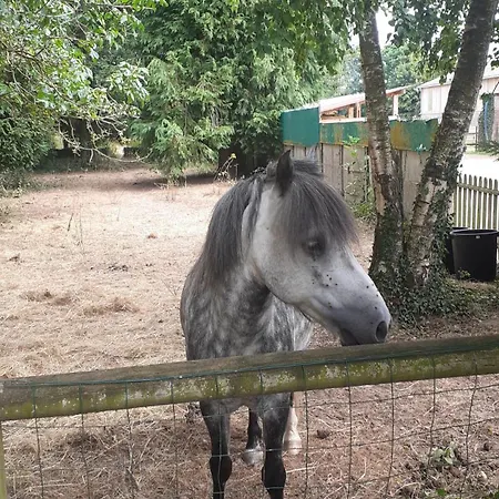 La Demeure De L'étrier - Baie De Somme - 12 Personnes Hébergement de vacances Acheux-en-Vimeu